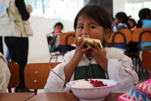 Fome na América Latina e Caribe preocupa universidades da região. Foto: PMA/Alejandra León